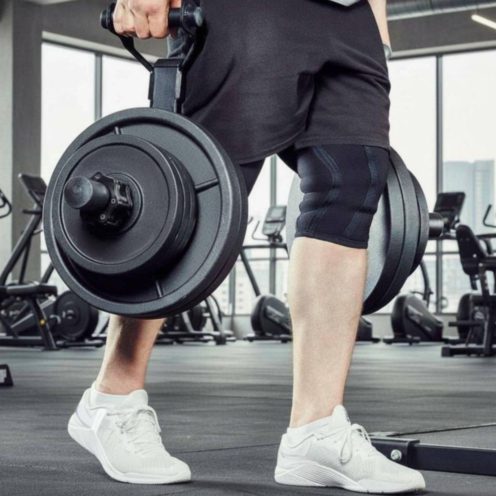 Mehrgrößen-Hantelscheibenhalte – Home Gym Fitness Bewertung und Preis