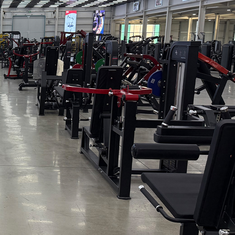 Multifunktionales Stahl-Kraftt – Home Gym Machine Bewertung und Preis