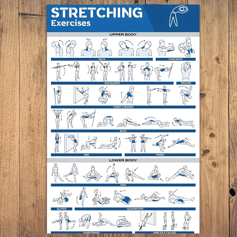 Moderner, etikettierter Leinwa – Home Gym Full Body Bewertung und Preis