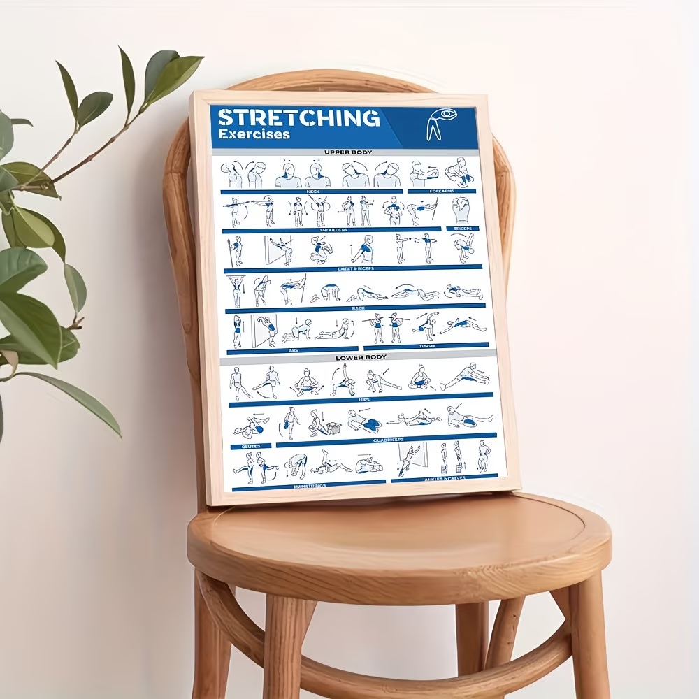 Moderner, etikettierter Leinwa – Home Gym Full Body Bewertung und Preis